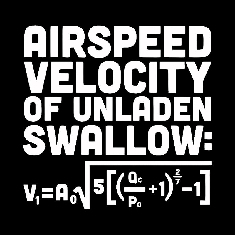 Airspeed Velocity of an Unladen Swallow  T-Shirt