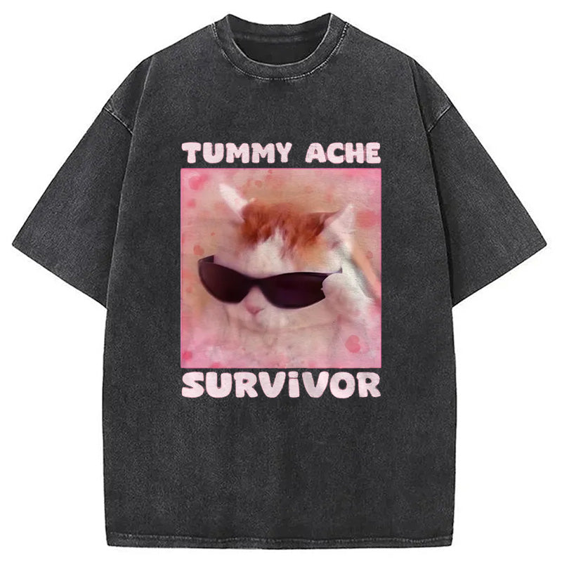 bbb Tummy Ache Survivor Funny Cat Meme Washed T-Shirt