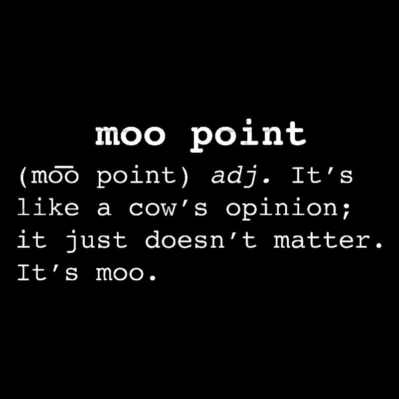 Moo Point  T-Shirt