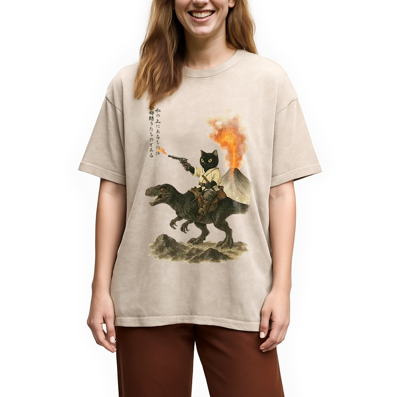 bbb Cat Riding A Dinosaur Washed T-Shirt