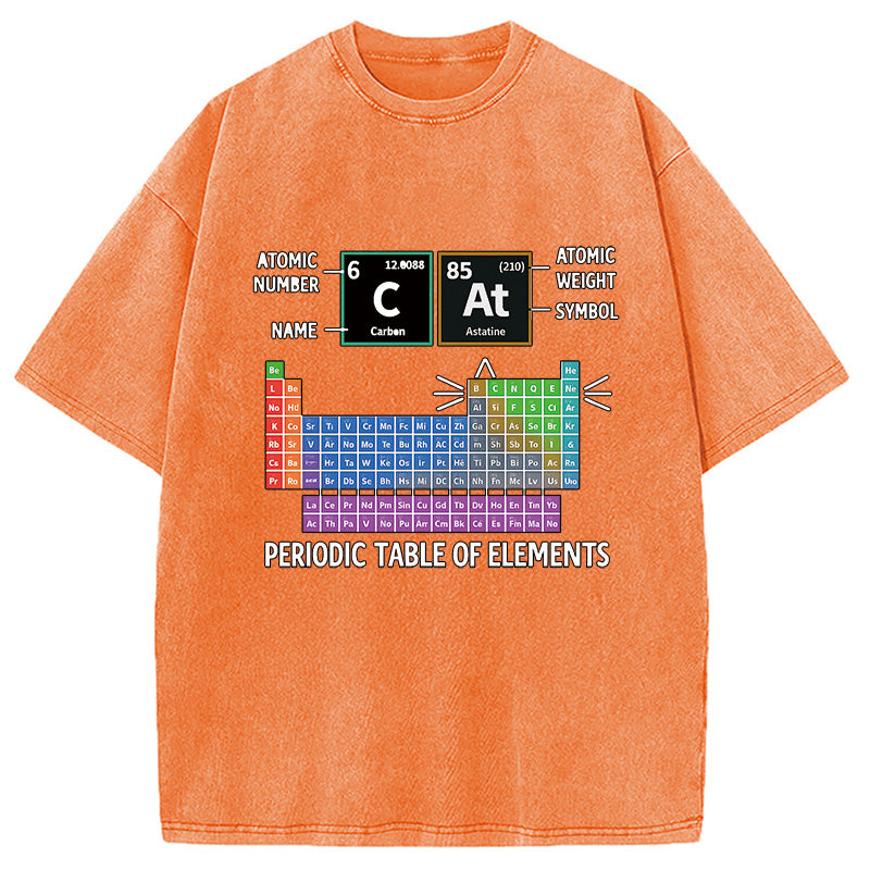 bbb Cat Periodic Table Chemistry Washed T-Shirt