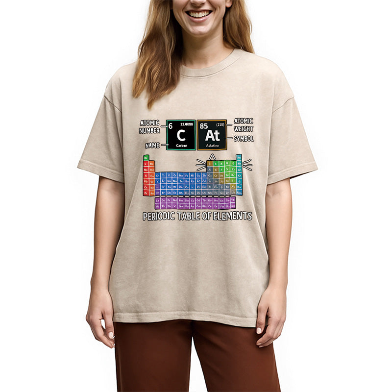 bbb Cat Periodic Table Chemistry Washed T-Shirt
