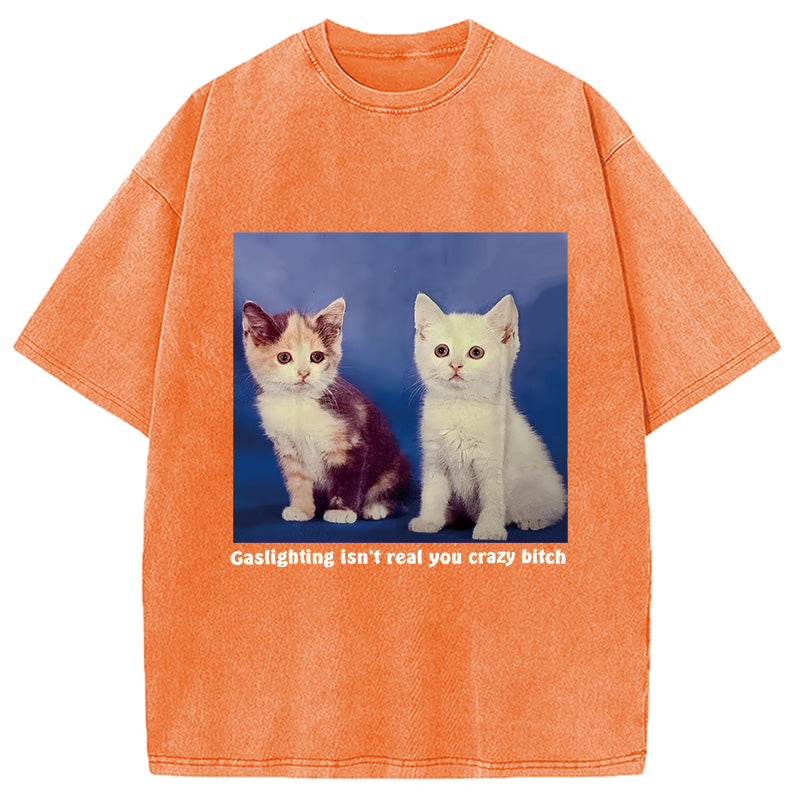 bbb Gaslighting Isn't Real You Crazy Bit*h Washed T-Shirt