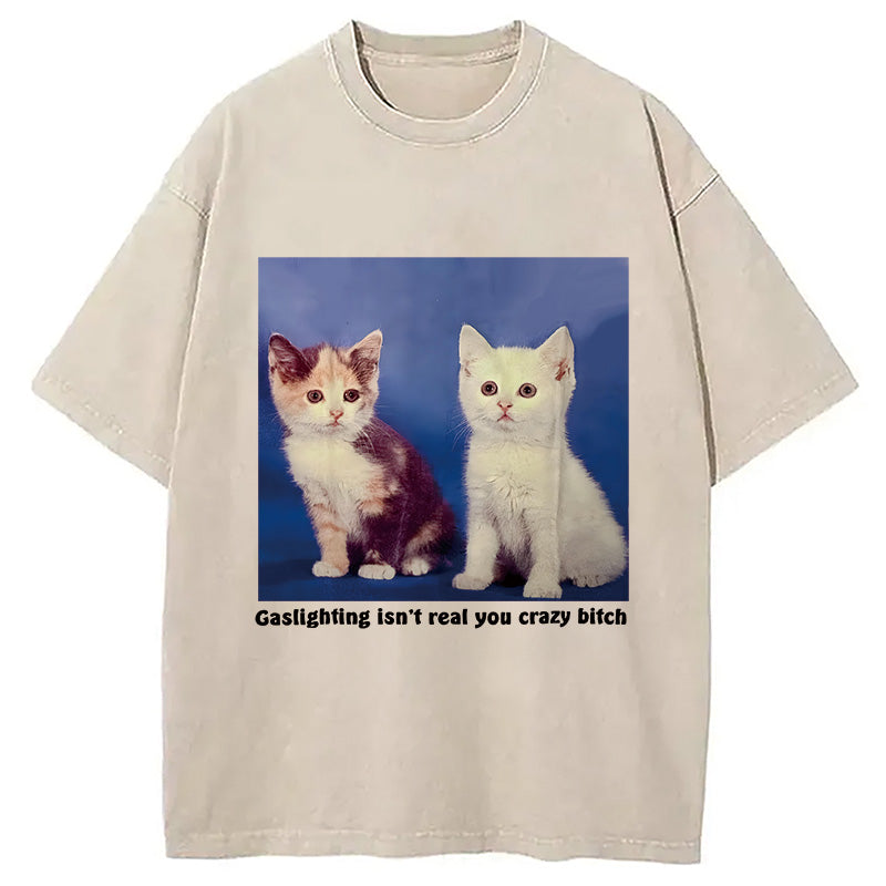 bbb Gaslighting Isn't Real You Crazy Bit*h Washed T-Shirt