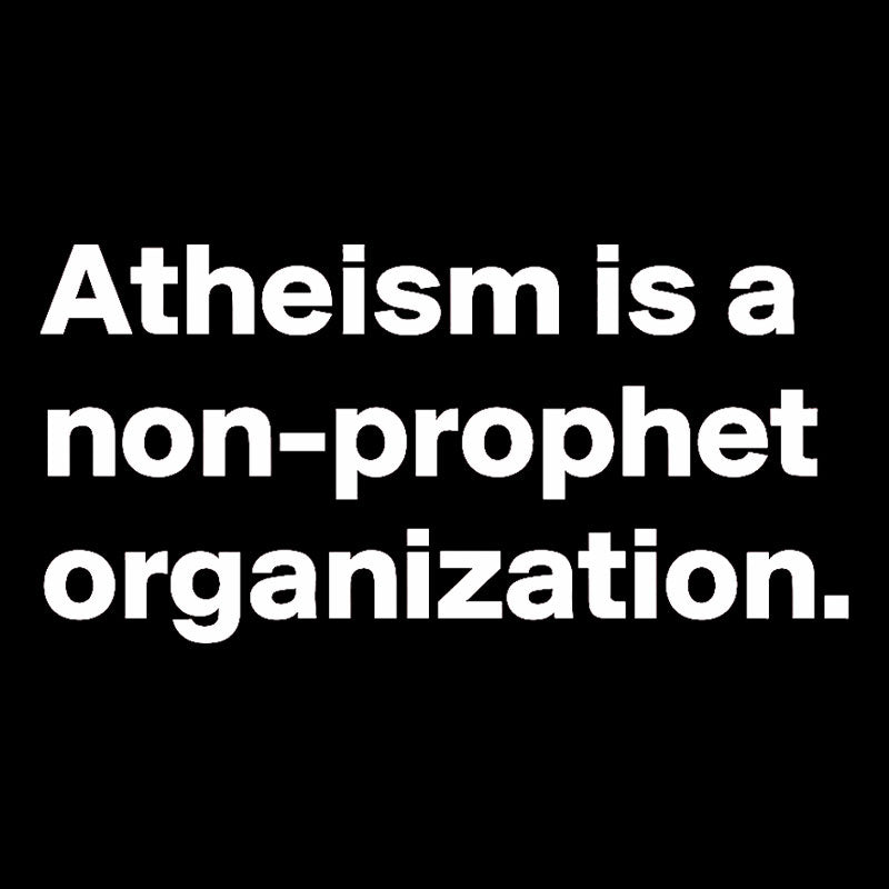 Atheism Is A Non-prophet Organization  T-Shirt