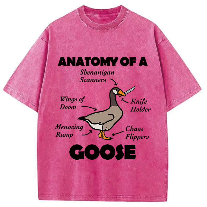 bbb Anatomy of A Goose Washed T-Shirt