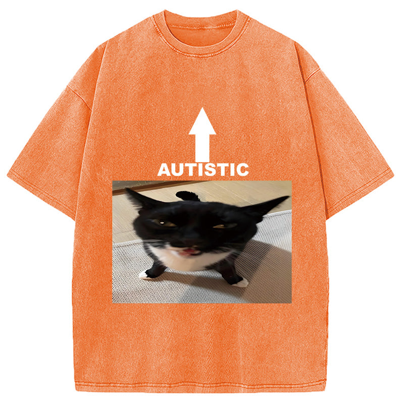 bbb Autistic Cat Washed T-Shirt