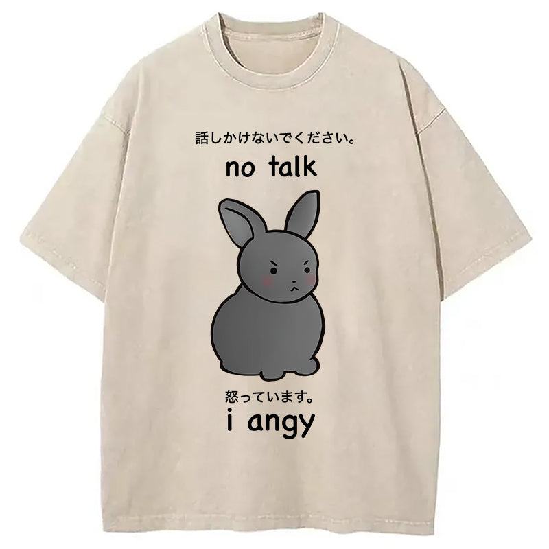 bbb No Talk I Angy Washed T-Shirt