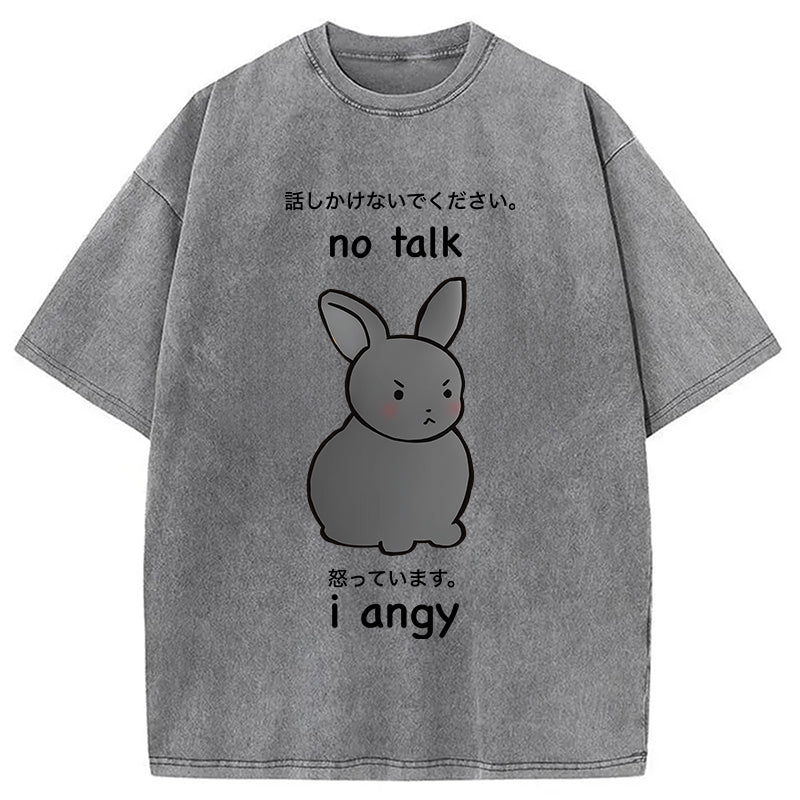 bbb No Talk I Angy Washed T-Shirt