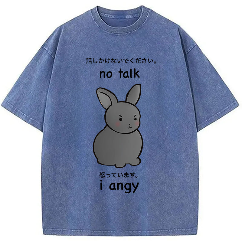 bbb No Talk I Angy Washed T-Shirt