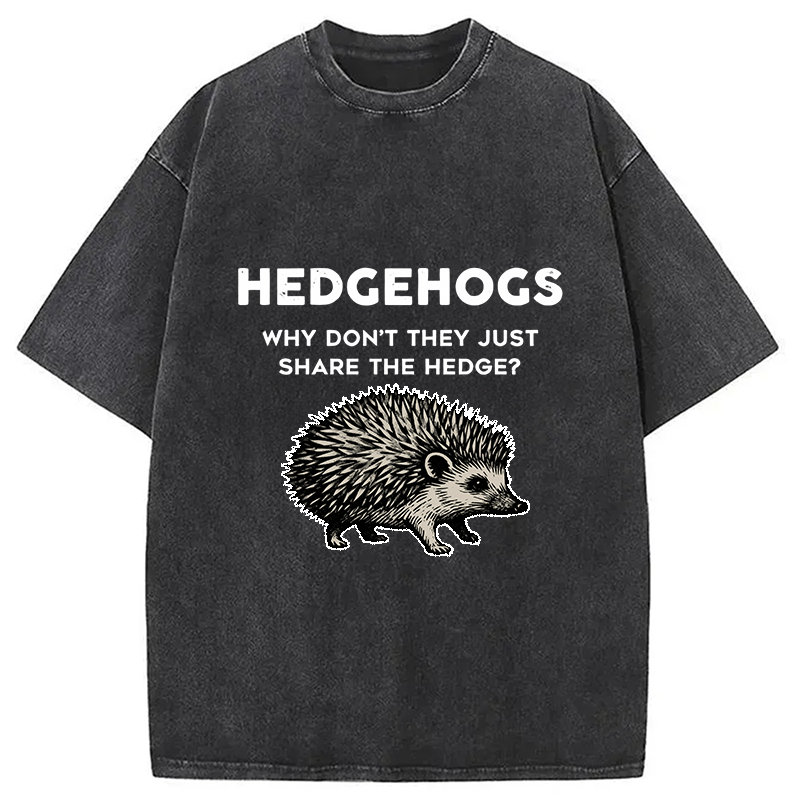 bbb Funny Hedgehog Washed T-Shirt