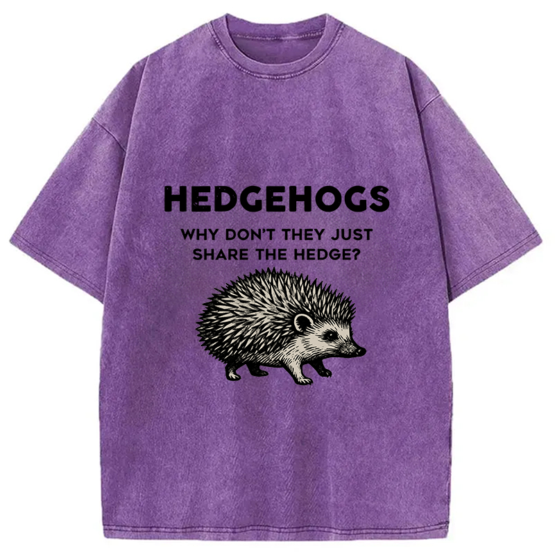 bbb Funny Hedgehog Washed T-Shirt