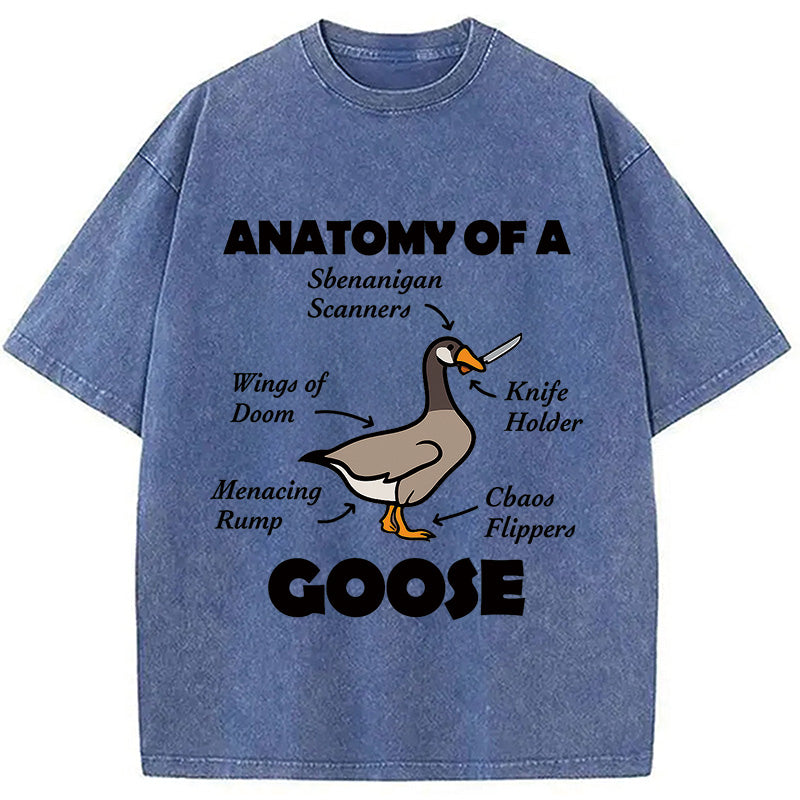 bbb Anatomy of A Goose Washed T-Shirt