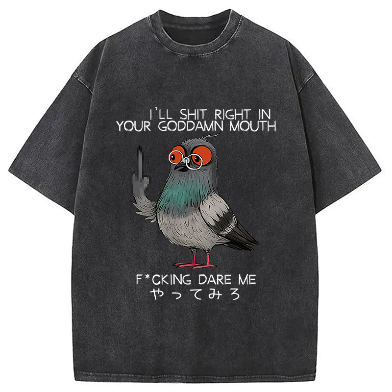 bbb Angry Pigeon Washed T-Shirt