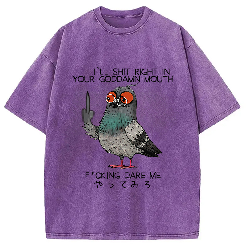 bbb Angry Pigeon Washed T-Shirt