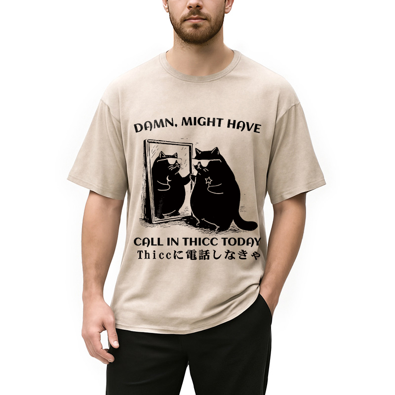 bbb Black Cat Admiring Himself Washed T-Shirt