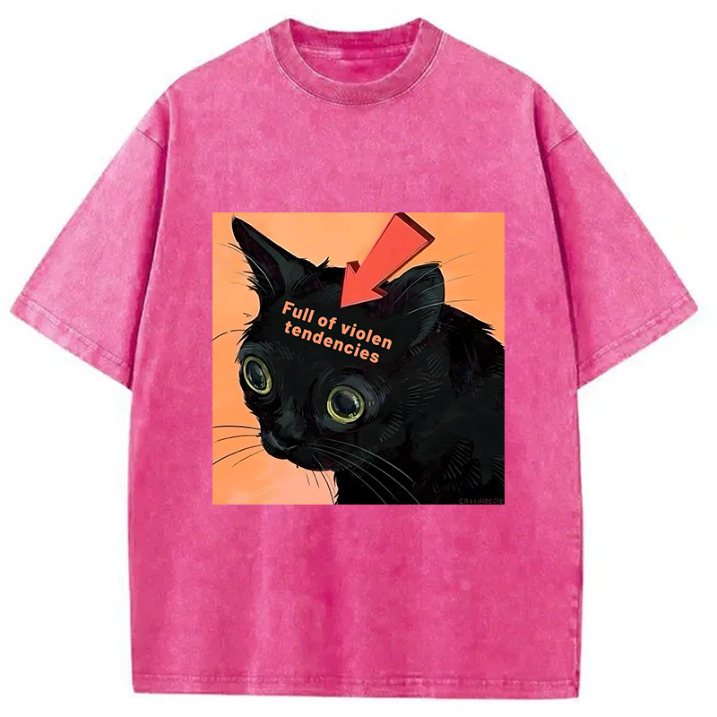bbb Full of Violen Tendencies Washed T-Shirt