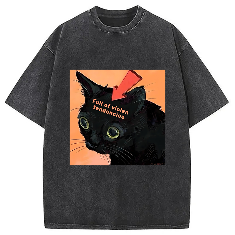 bbb Full of Violen Tendencies Washed T-Shirt