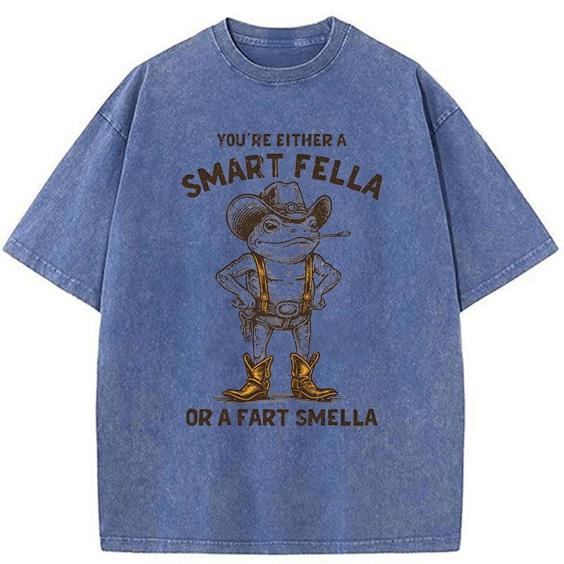 bbb Smart Fella Or Fart Smella Retro Cartoon Frog Washed T-shirt