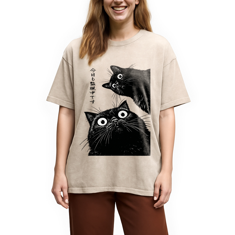 bbb The Cat Is Watching Today Washed T-Shirt