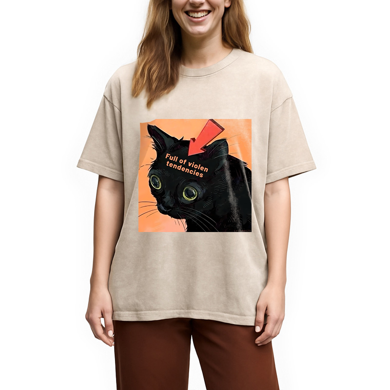 bbb Full of Violen Tendencies Washed T-Shirt