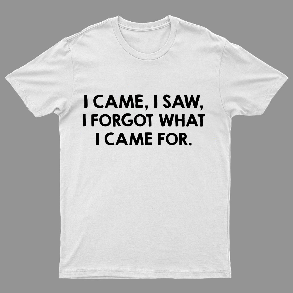 I Came and Saw Funny y T-Shirt