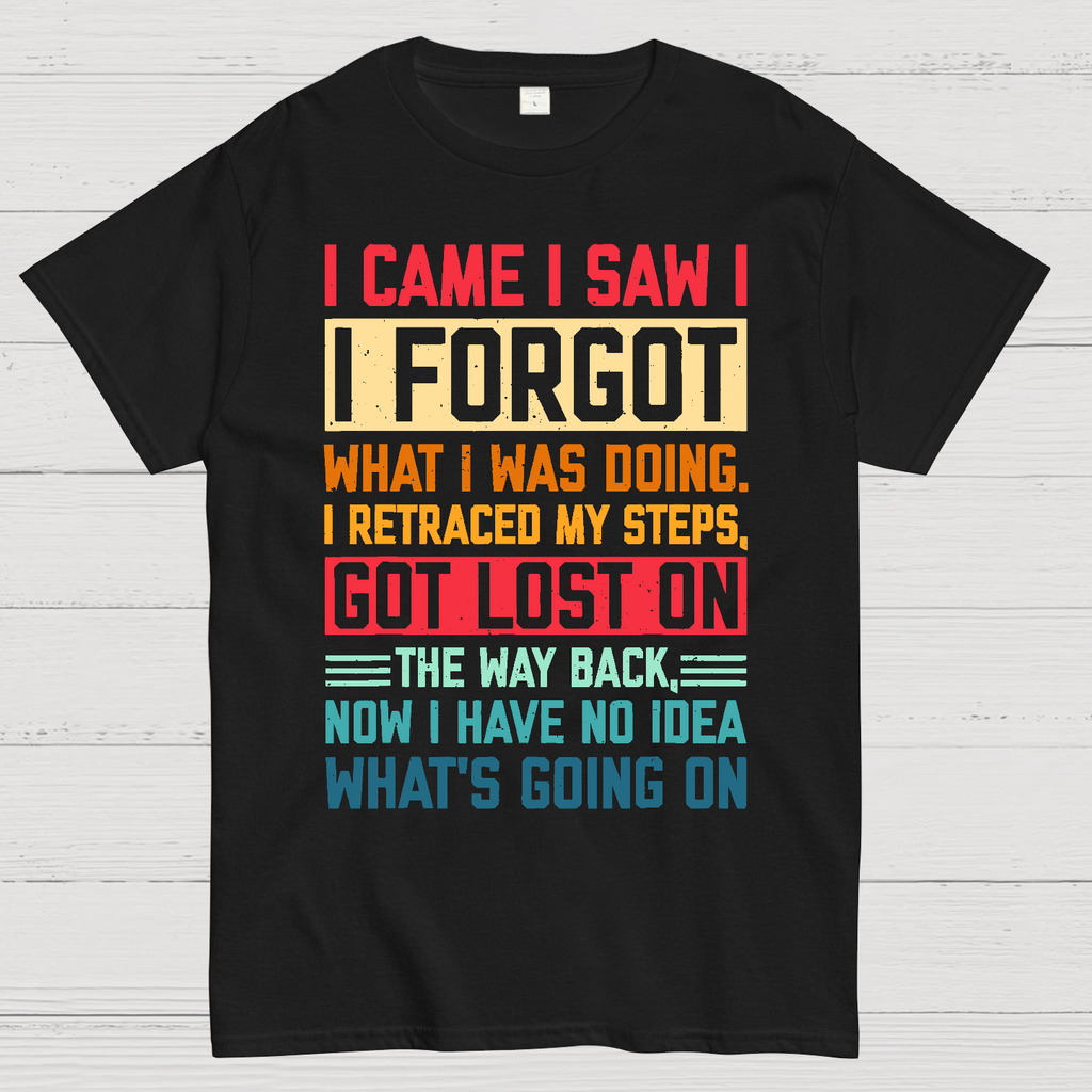 I Came I Saw I Forgot What I Was Doing Sarcastic  T-Shirt