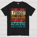 I Came I Saw I Forgot What I Was Doing Sarcastic  T-Shirt