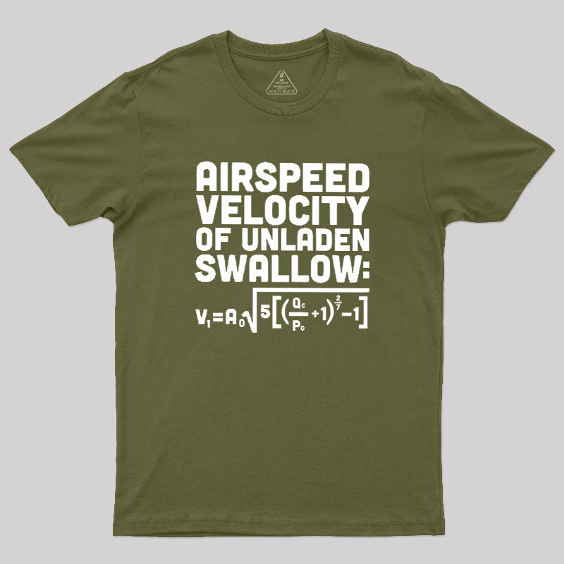 Airspeed Velocity of an Unladen Swallow  T-Shirt