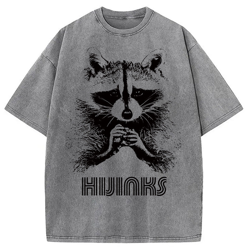bbb Raccoon Hijinks Washed T-Shirt