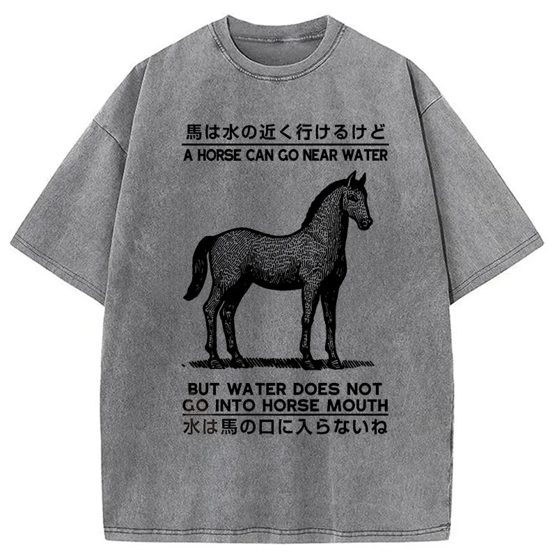 bbb Funny Horse And Water Saying Washed T-Shirt
