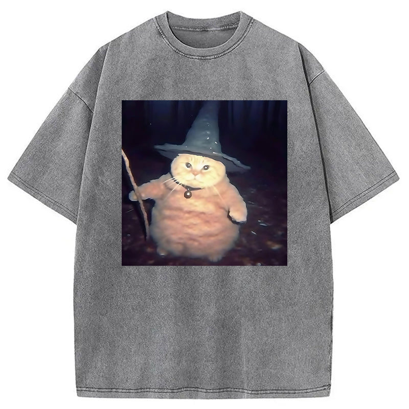 bbb Wizard Cat Funny Halloween Washed T-Shirt