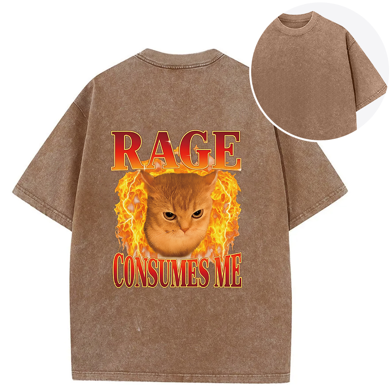bbb Rage Consumes Me Edgy Funny Cat Meme Back Washed T-Shirt