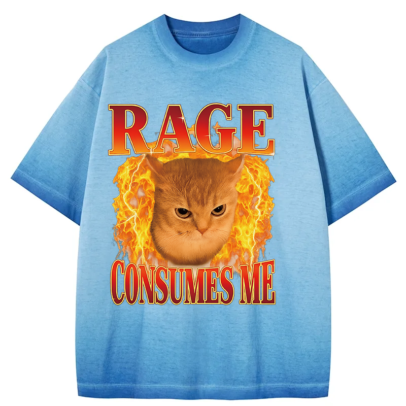 bbb Rage Consumes Me Edgy Funny Cat Meme Gradient Washed T-Shirt