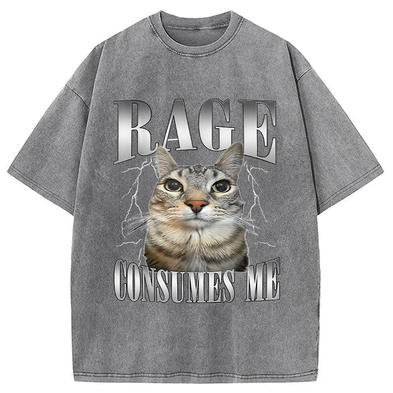 bbb Rage Consumes Me Funny Cat Washed T-Shirt