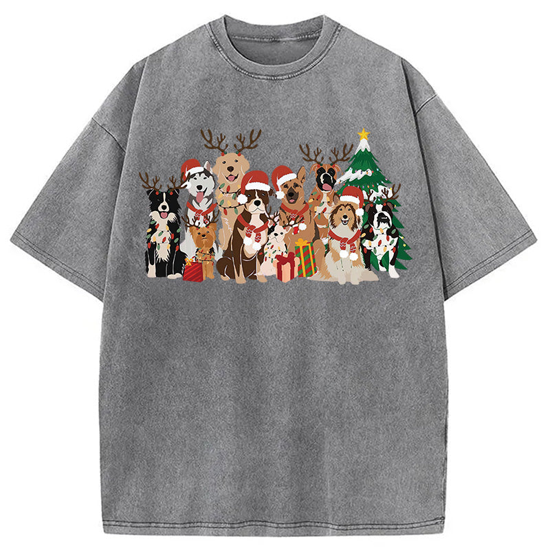 bbb Christmas Dogs Washed T-Shirt