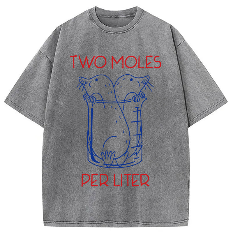 bbb Two Moles Per Liter Washed T-Shirt