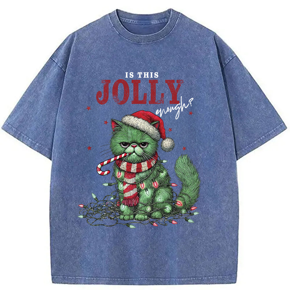 bbb Christmas Gift Washed T-Shirt