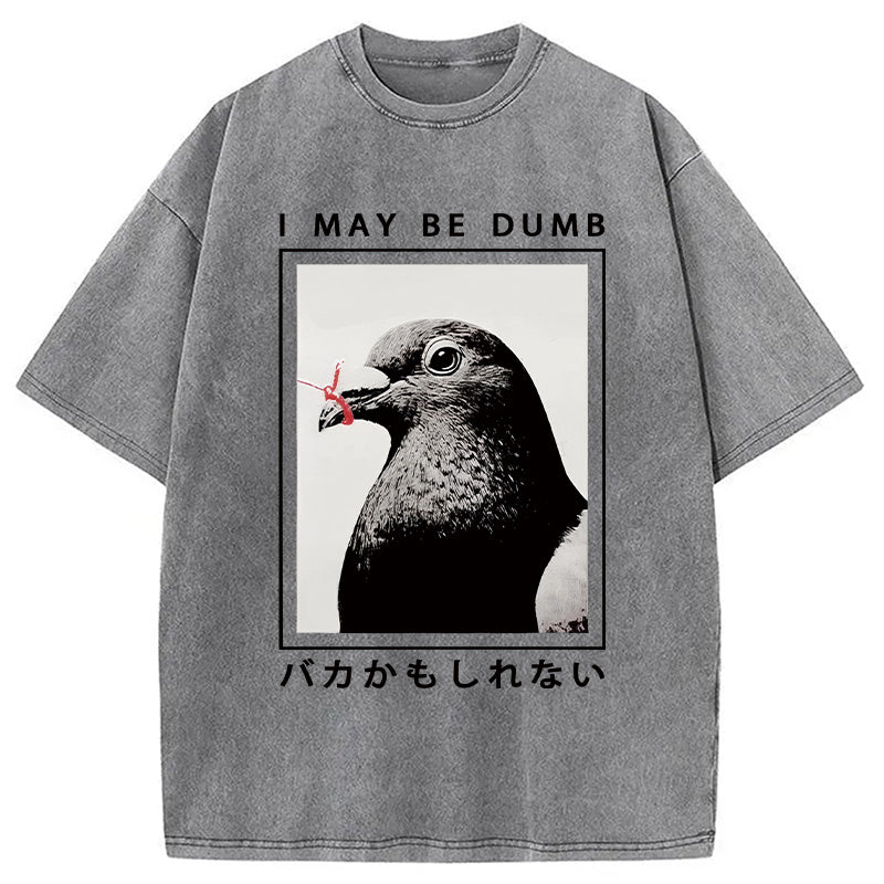 bbb I May Be Dumb Funny Washed T-Shirt