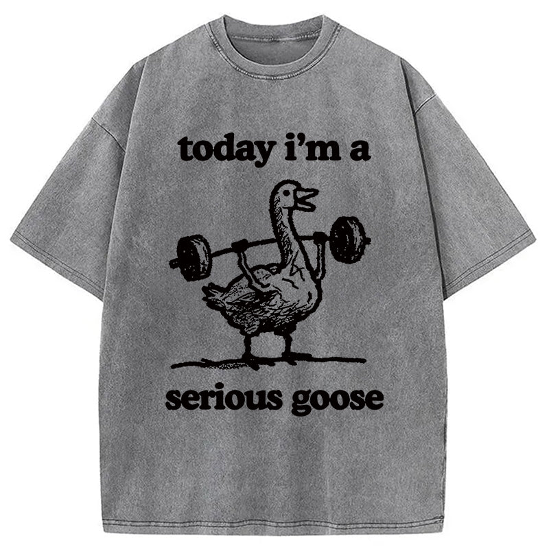bbb Fitness Goose Washed T-Shirt