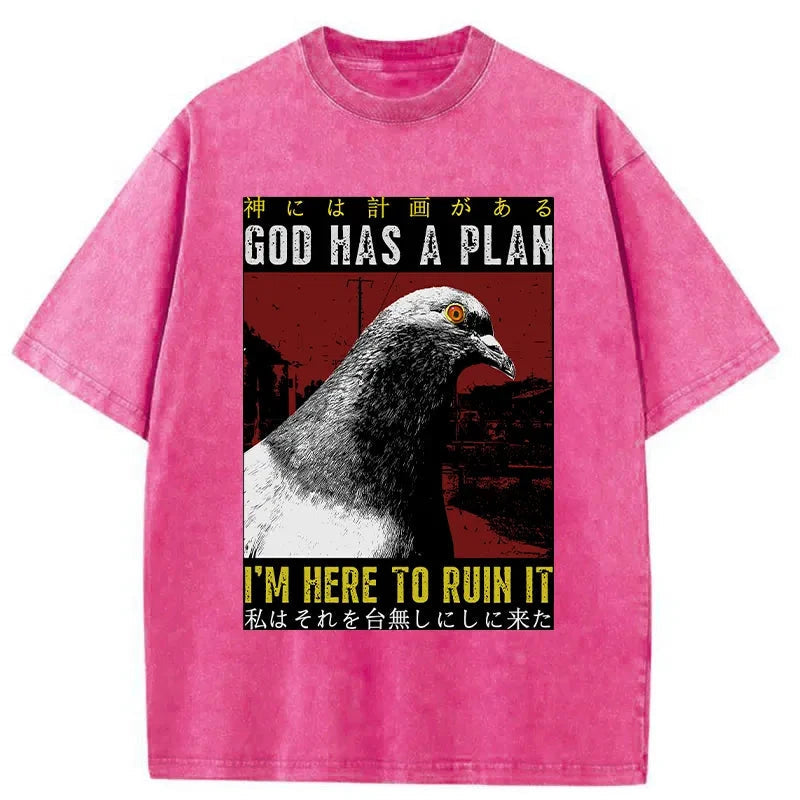 bbb Pigeons That Want To Break The Plan Washed T-Shirt