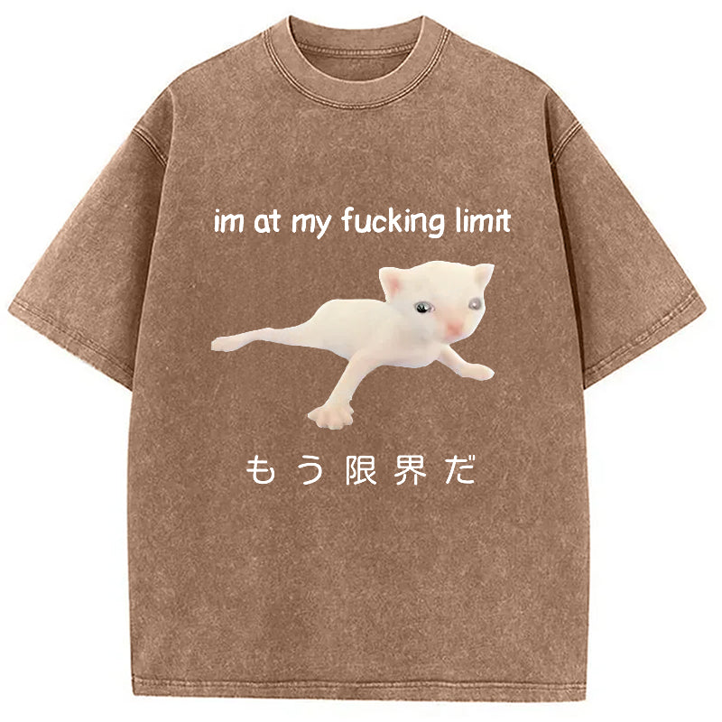 bbb Cat Reaching Its Limit Washed T-Shirt