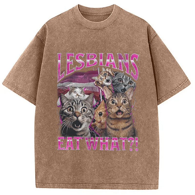 bbb Lesbians Eat What?! Funny Washed T-Shirt