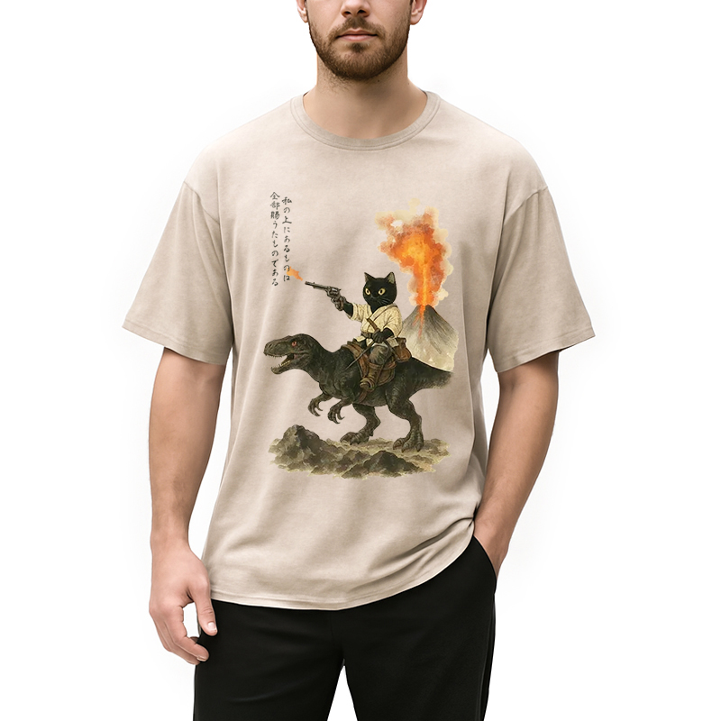 bbb Cat Riding A Dinosaur Washed T-Shirt