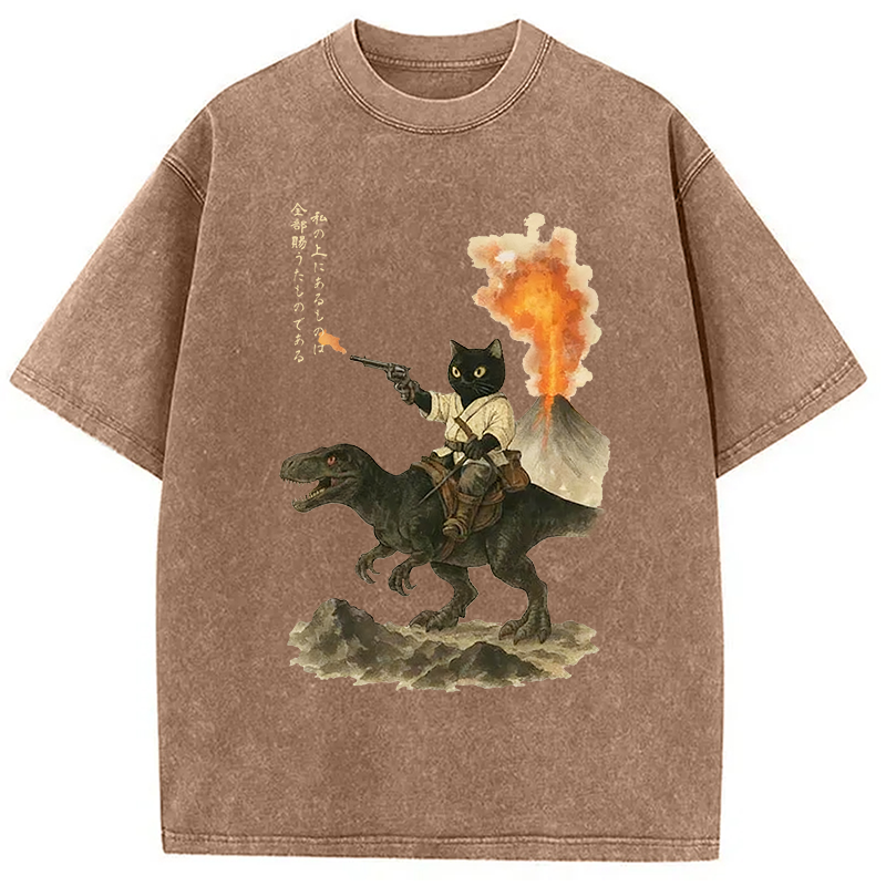 bbb Cat Riding A Dinosaur Washed T-Shirt