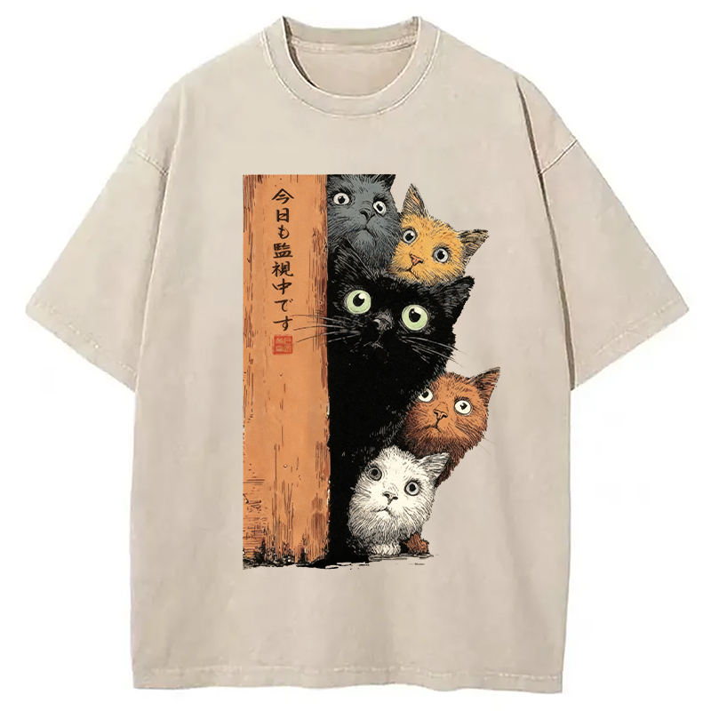 bbb Cats Are Watching You Washed T-Shirt