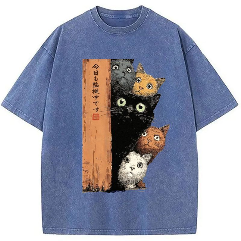 bbb Cats Are Watching You Washed T-Shirt