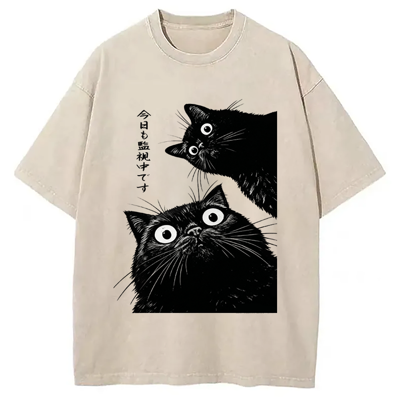 bbb The Cat Is Watching Today Washed T-Shirt