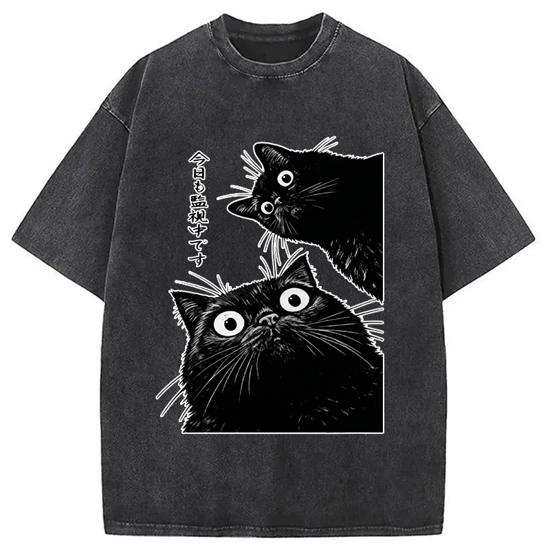 bbb The Cat Is Watching Today Washed T-Shirt