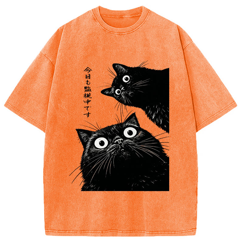 bbb The Cat Is Watching Today Washed T-Shirt